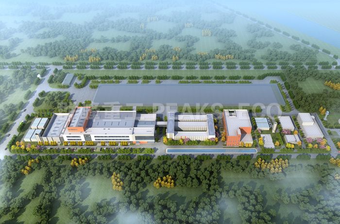 山东青岛小间隙厨余垃圾预处理项目